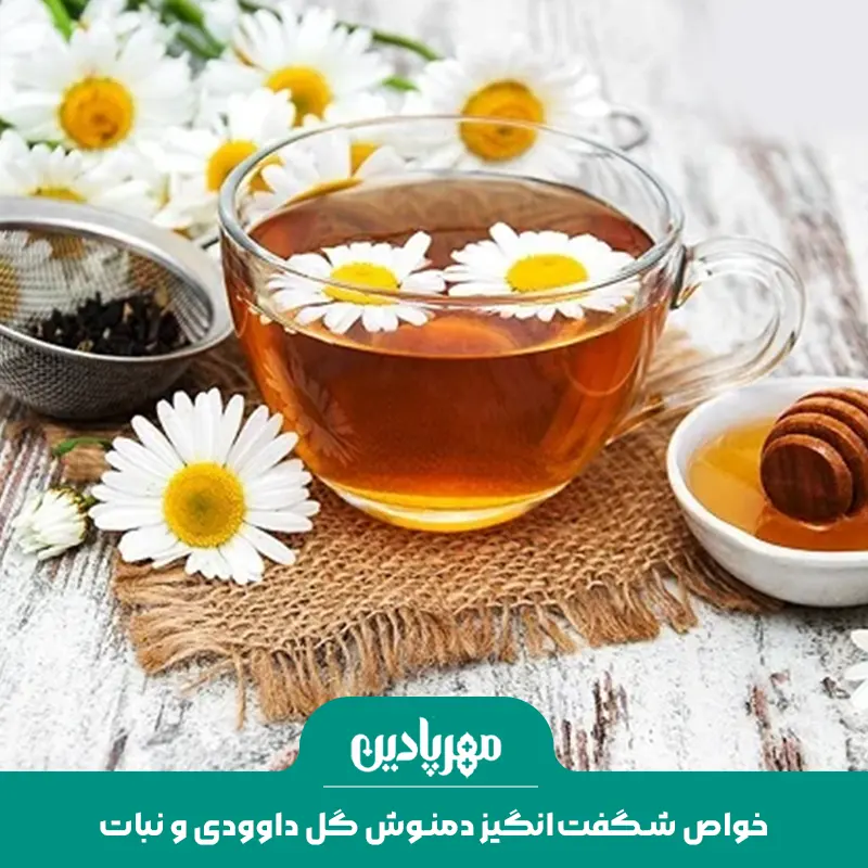 خواص شگفت‌انگیز دمنوش گل داوودی و نبات